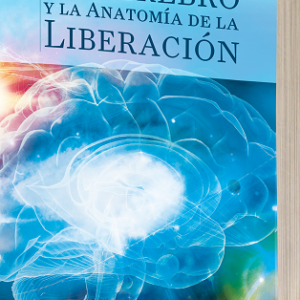 El Cerebro y la Anatomía de la Liberación