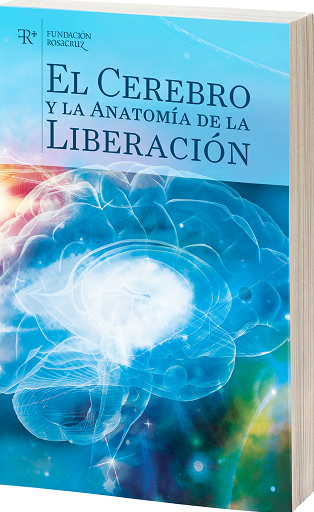 El Cerebro y la Anatomía de la Liberación